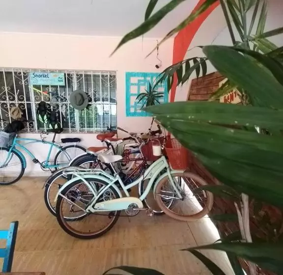 ペンション Casa Samay