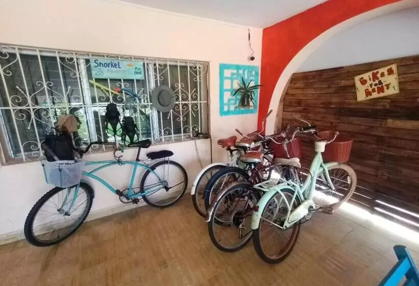 ペンション Casa Samay