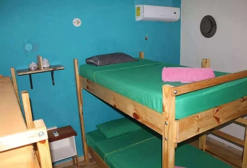 ペンション Casa Samay