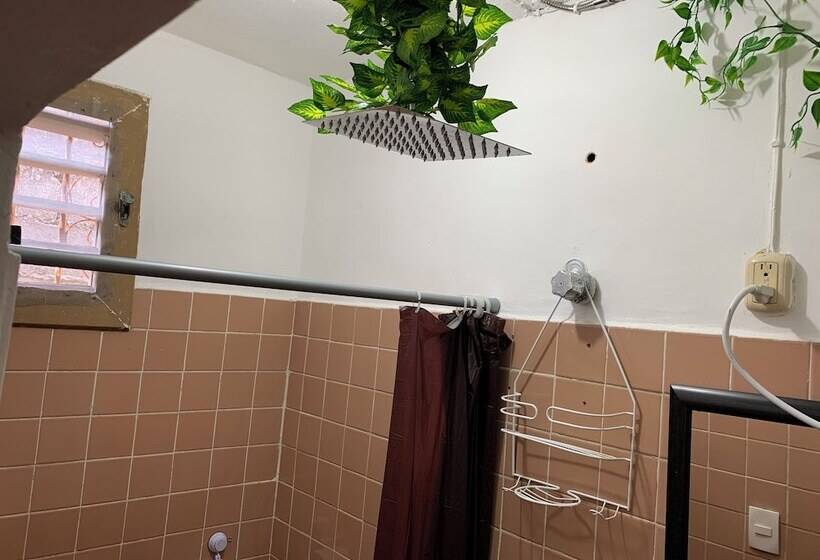 ペンション Casa Samay