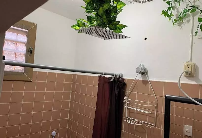 ペンション Casa Samay