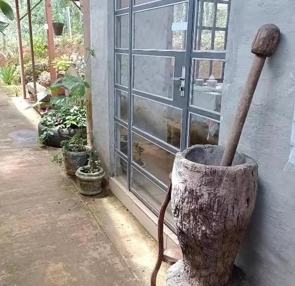 پانسیون Chalés Do Apolinário