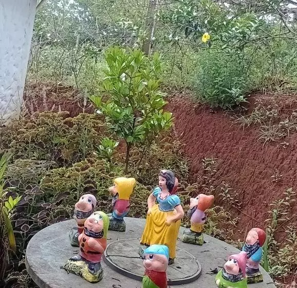 پانسیون Chalés Do Apolinário