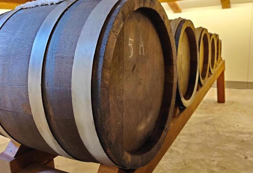 پانسیون La Bella Modena Centro