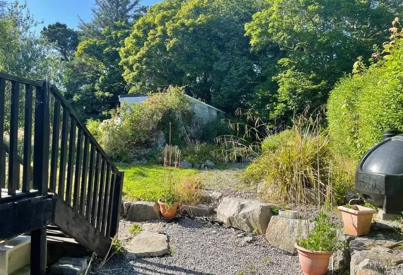 Pension O Domhnaill S Guesthouse   Lig Do Scíth