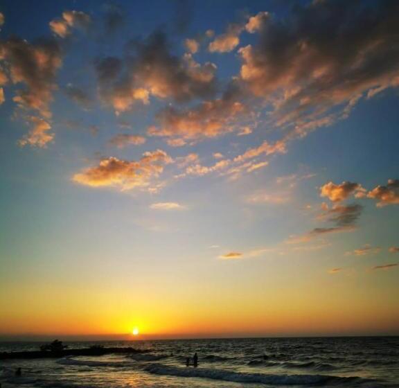 پانسیون Manglearena