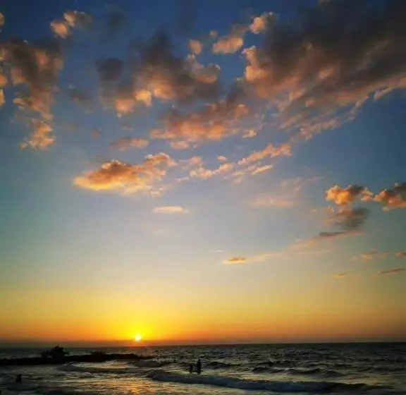 Majatalo Manglearena