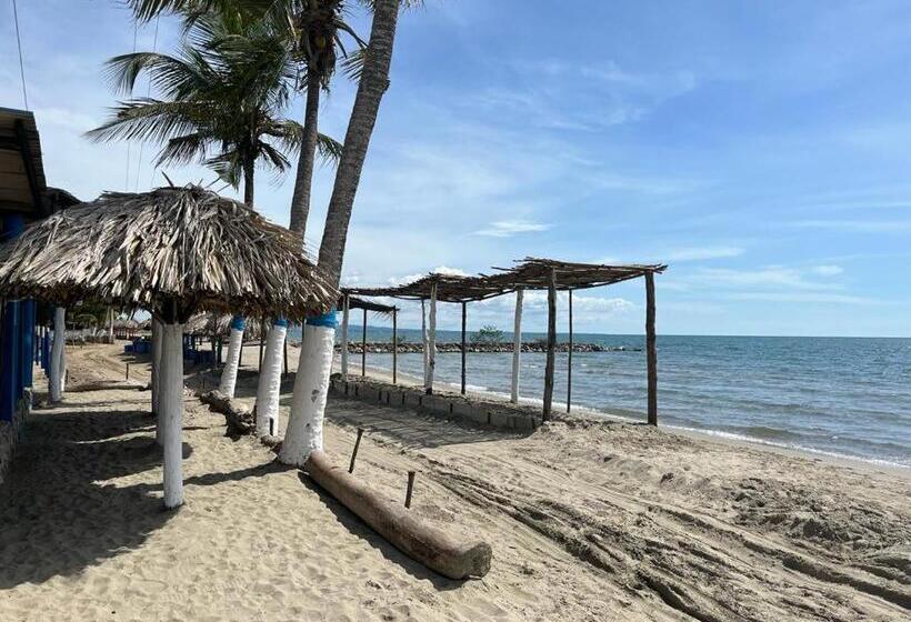 پانسیون Manglearena