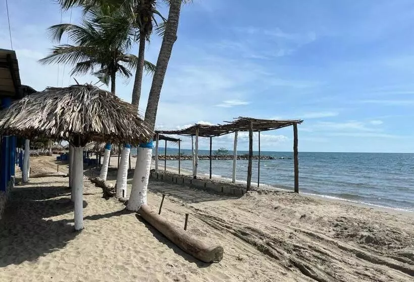 Majatalo Manglearena