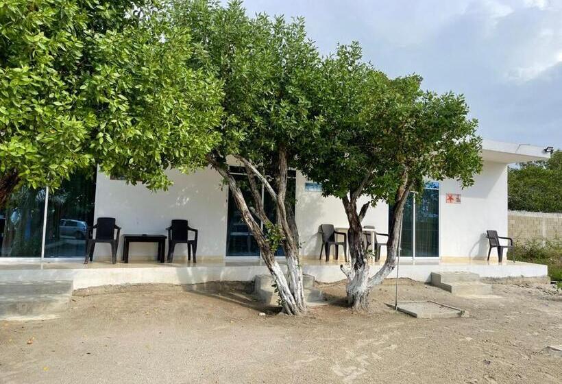 پانسیون Manglearena