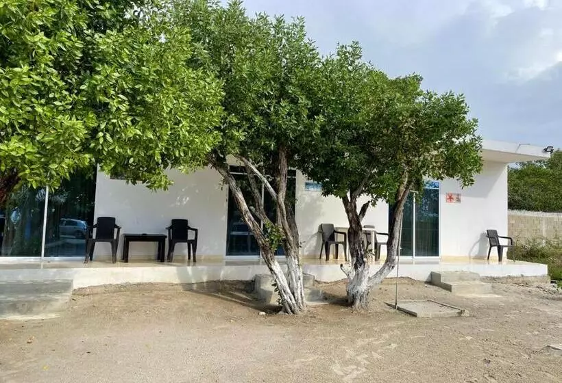 Majatalo Manglearena