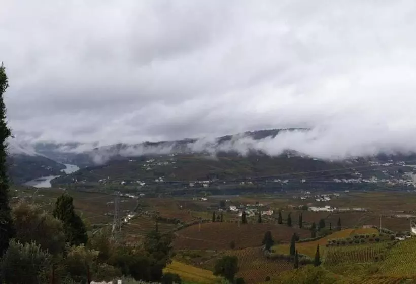 ベッドアンドブレックファースト Golden Mirror