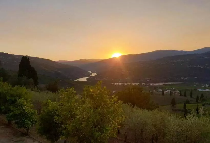 ベッドアンドブレックファースト Golden Mirror