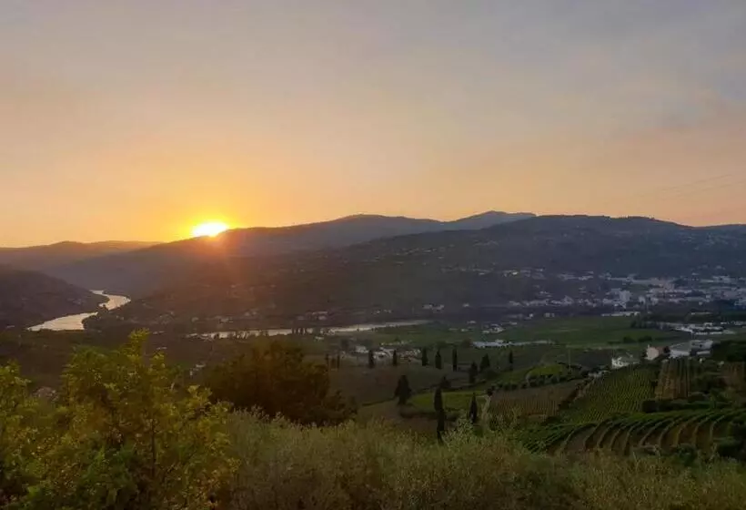 ベッドアンドブレックファースト Golden Mirror