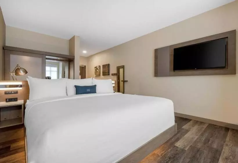 Cambria Hotel Austin Airport