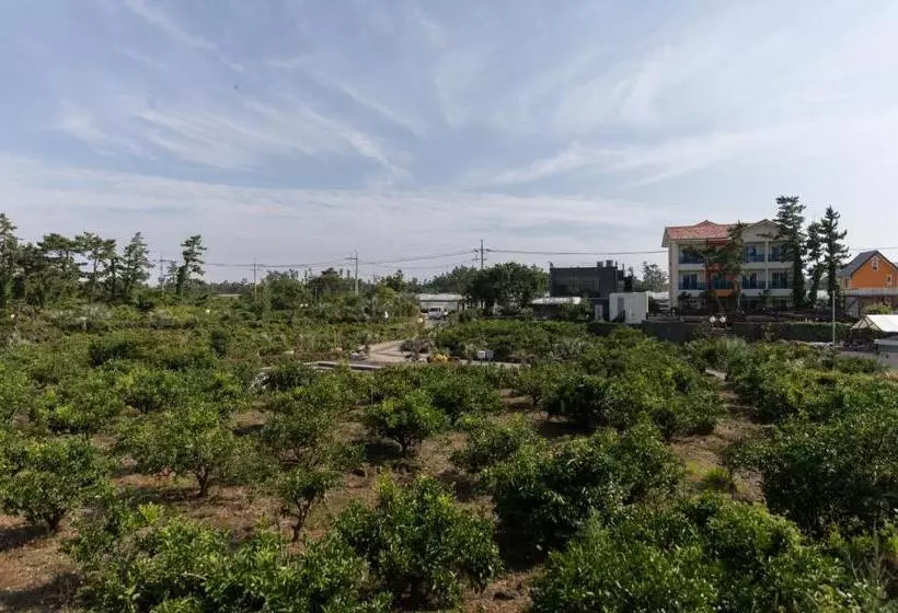 هتل Jeju Healing Park