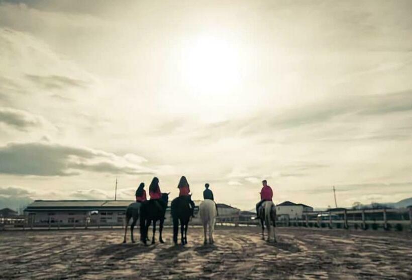 酒店 House Of Horses Shtepia E Kuajve