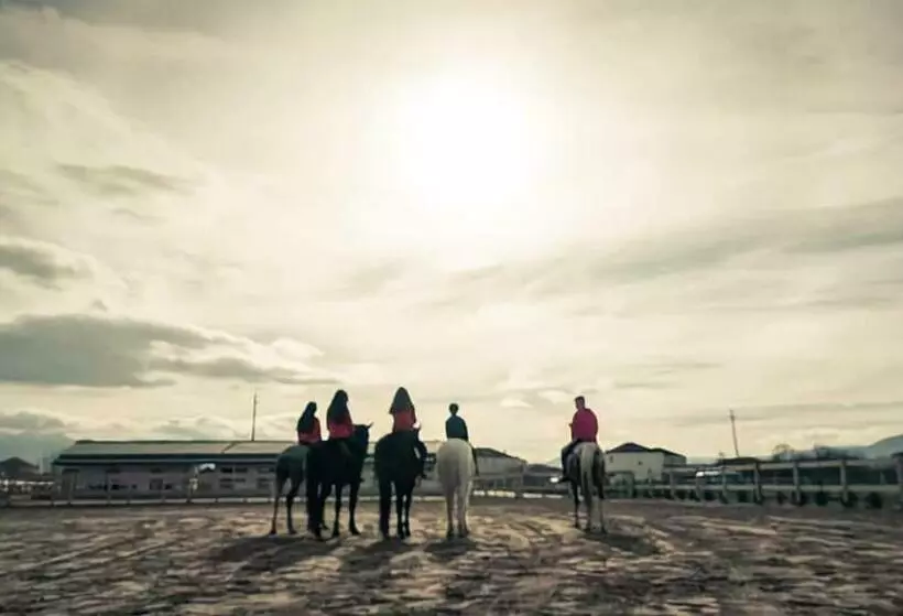 ホテル House Of Horses Shtepia E Kuajve