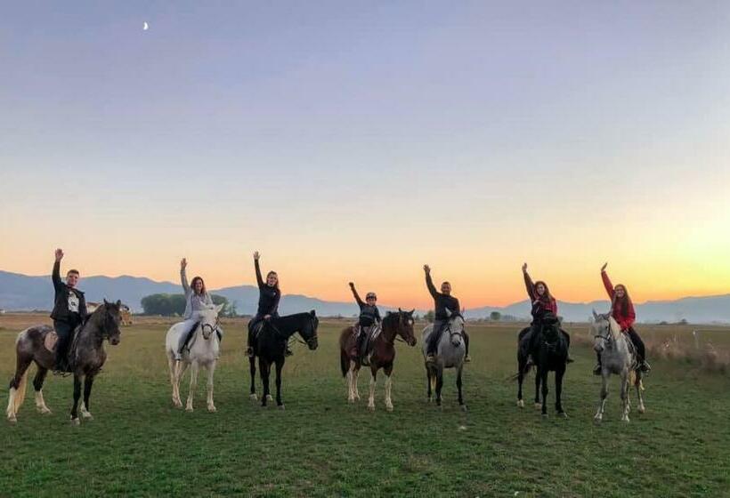 酒店 House Of Horses Shtepia E Kuajve