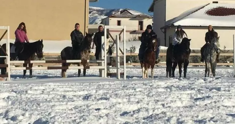 ホテル House Of Horses Shtepia E Kuajve