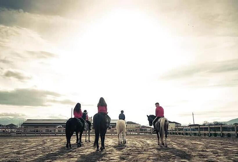 酒店 House Of Horses Shtepia E Kuajve