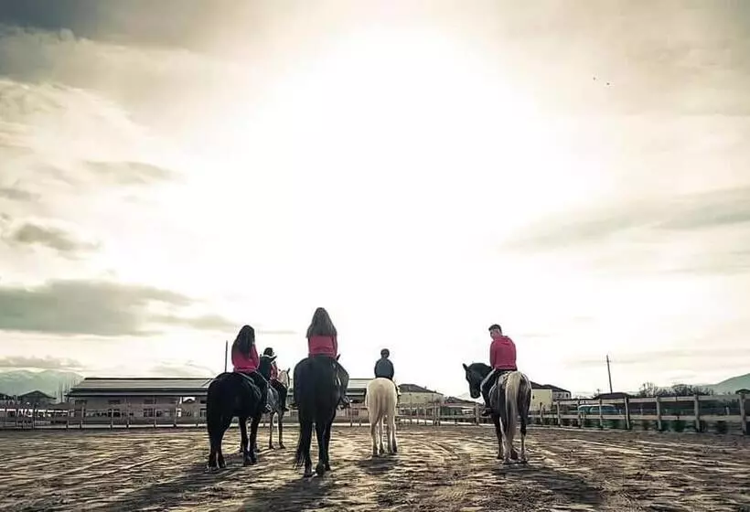 ホテル House Of Horses Shtepia E Kuajve