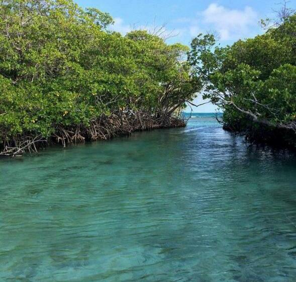 هتل Turtle Bay Inn