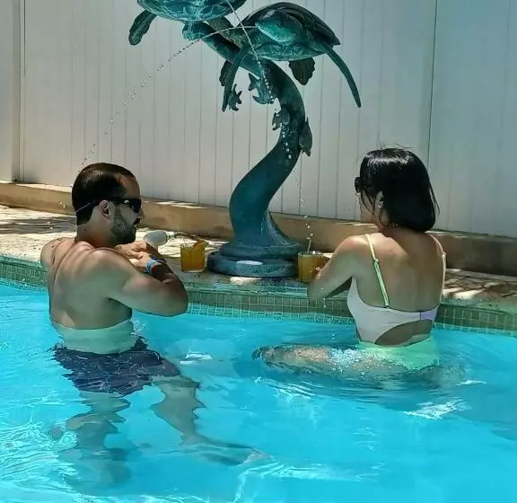 هتل Turtle Bay Inn