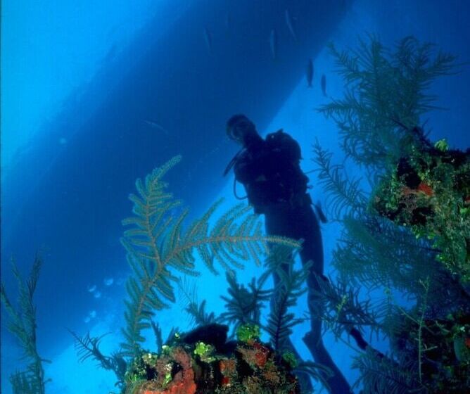 هتل Turtle Bay Inn