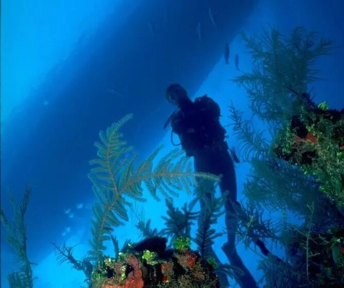 هتل Turtle Bay Inn