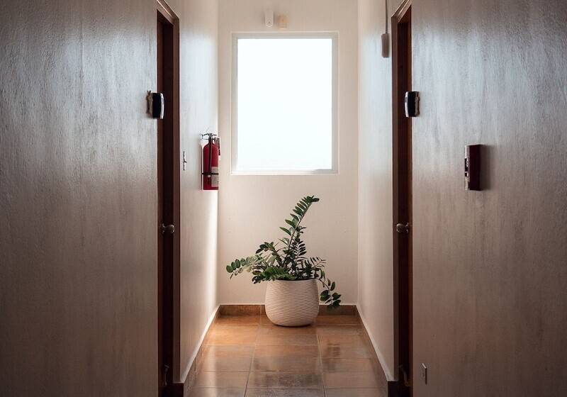 هتل Turtle Bay Inn