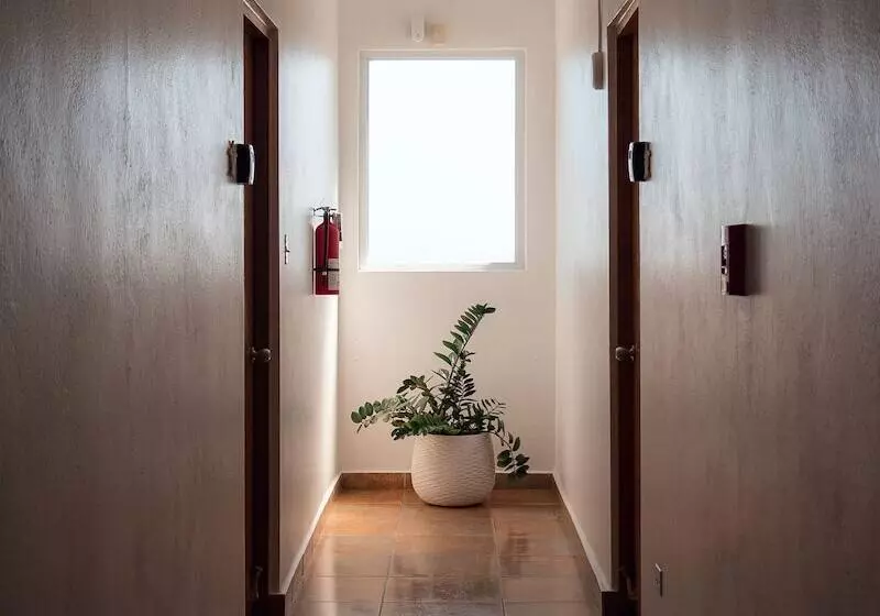 هتل Turtle Bay Inn