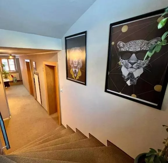 Lech Hostel
