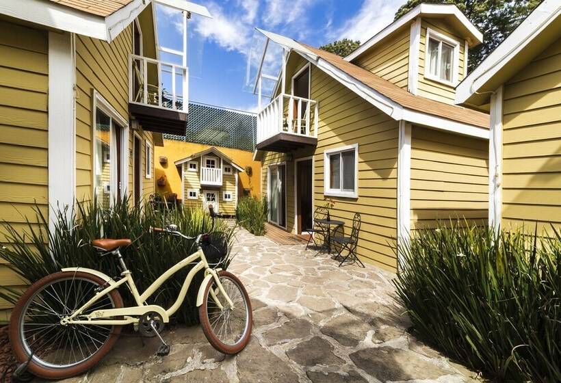 膳宿费 Cabañas Salamandras Avándaro