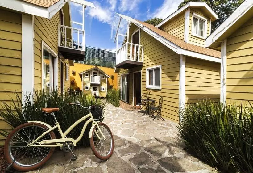 ペンション Cabañas Salamandras Avándaro