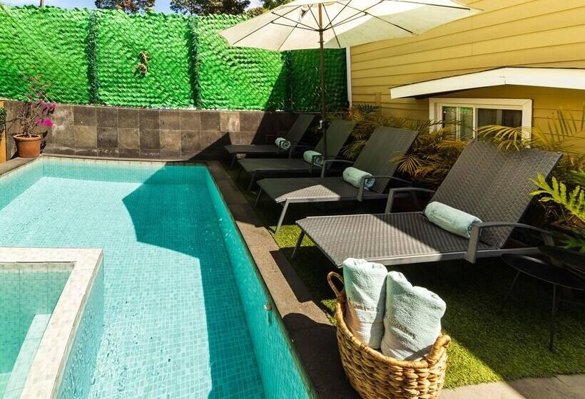 بنسيون Cabañas Salamandras Avándaro