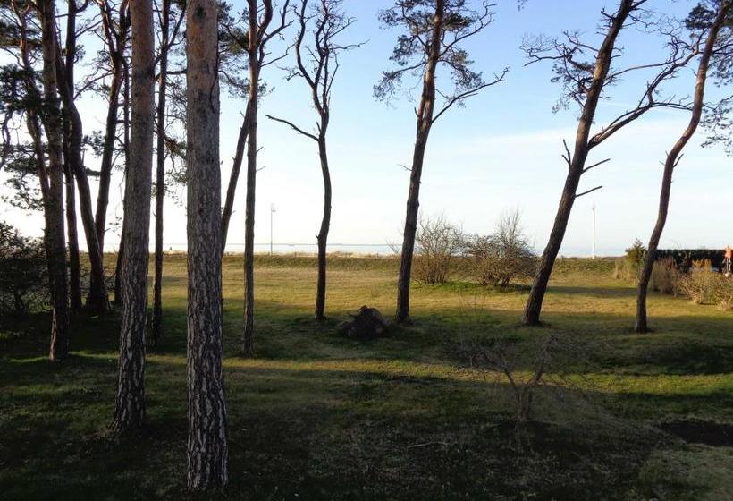 리조트 Ferienhaus Windrose