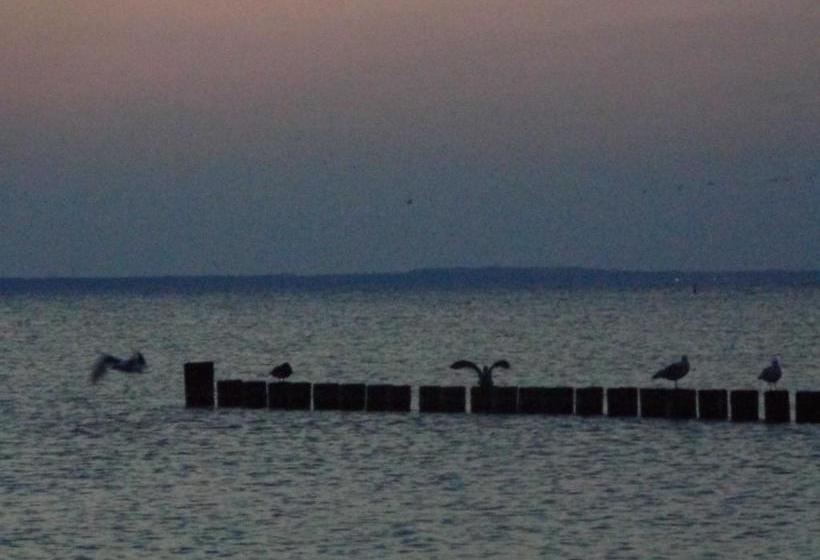 리조트 Ferienhaus Windrose