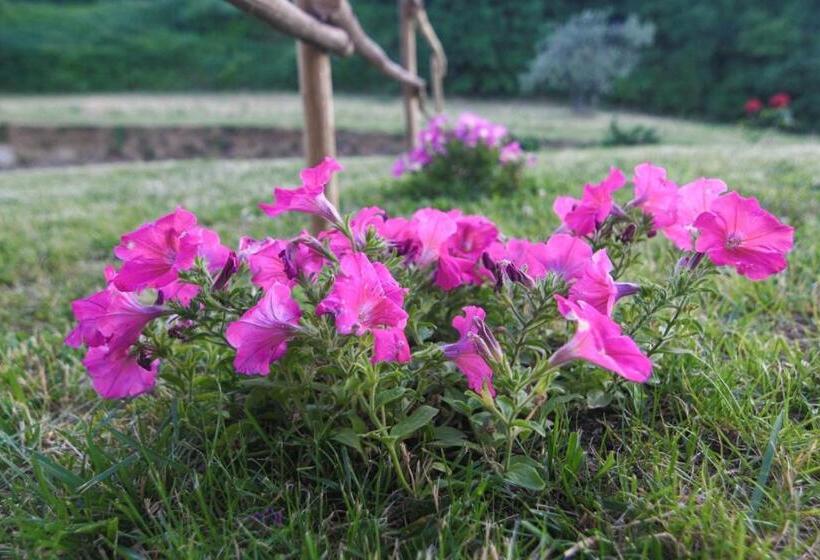 هتل Agriturismo Poggio Ridulfo