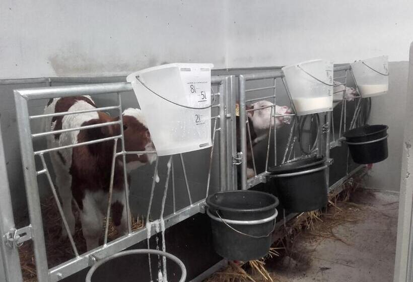 Hotelli öderbauer Hof