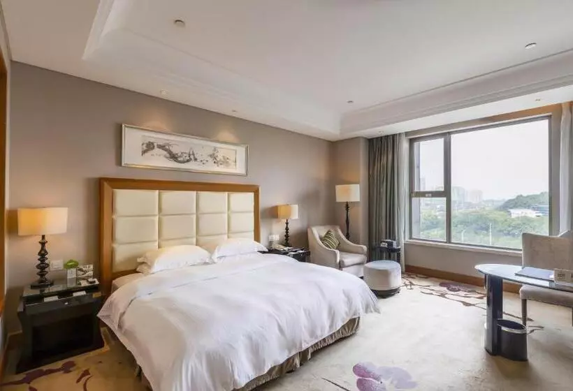 ホテル Wyndham Xinyang Downtown