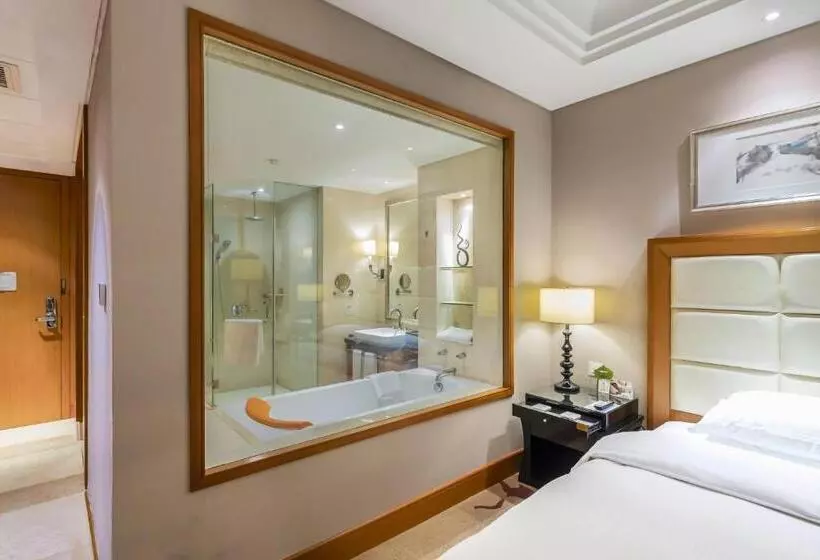 ホテル Wyndham Xinyang Downtown