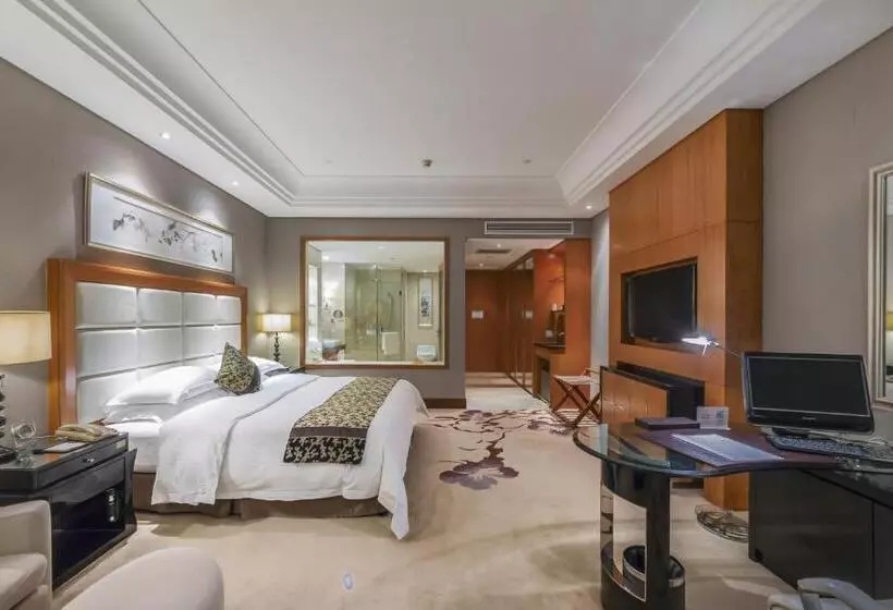 ホテル Wyndham Xinyang Downtown