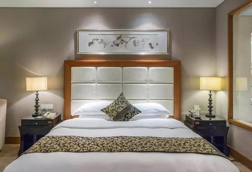 ホテル Wyndham Xinyang Downtown