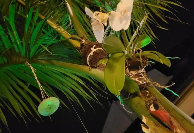 Majatalo A Ver O Mar Beach House