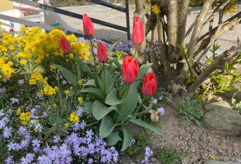 ペンション Camere Villa Lunardini