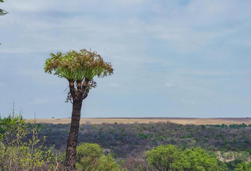 Пансион Cussonia Country Home
