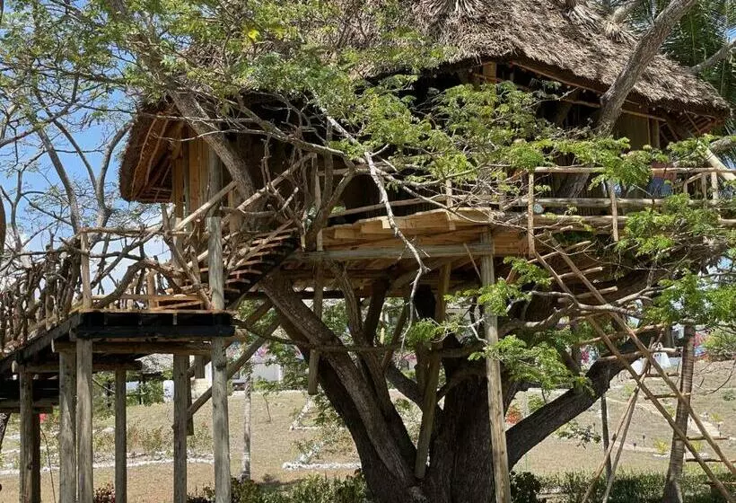 استراحتگاه Antonio Beach Tree House Hotel & Spa