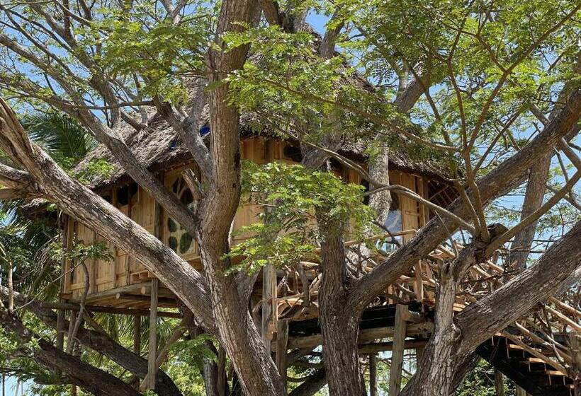 استراحتگاه Antonio Beach Tree House Hotel & Spa
