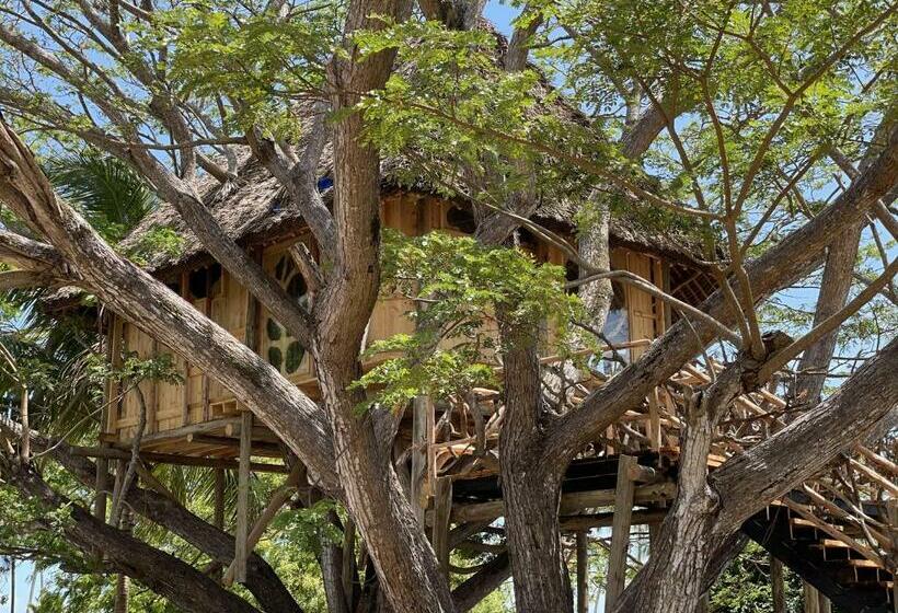 استراحتگاه Antonio Beach Tree House Hotel & Spa